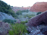   Cantera el Moresno. La Alcoraia. Alicante