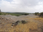  Mina Estrella. Pardos. Guadalajara 