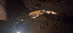  Mina Romana de Cueva del Hierro. Cueva del hierro. Beteta. Cuenca