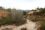 Cantera Casablanca, Lloma Alta, Les Boqueres, San Vicente del Raspeig/Sant Vicent del Raspeig, Comarca Campo de Alicante