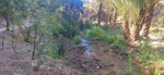  Rio Chicano. Macisvenda. Sierra de Abanilla. Murcia