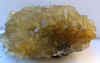 muestra (20).jpg (131623 bytes)