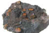 muestra (32).jpg (168579 bytes)