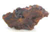 muestra (35).jpg (124383 bytes)