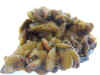 muestra (36).JPG (123633 bytes)