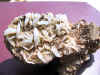 muestra (7).jpg (210283 bytes)