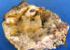 muestra (8).jpg (220133 bytes)
