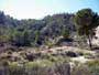  Minas de azufre. Embalse del Cenajo. Hellin. Albacete