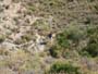 Sierra de Albatera. Hondos de los Frailes. Alicante