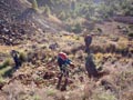 Los Pajaritos: Sierra minera de Cartagena la Unión