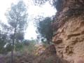 Mioceno de Murcia