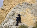 Explotación de áridos. Tossal Redo San Vicente del Raspeig. Alicante 