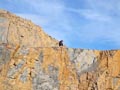 Explotación de CEMEX. Serreta Llarga. Partida de Fontcalent. Alicante  