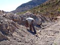 Las Viudas I. Explotaciónes de Yeso. La Alcoraia. Alicante  