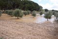 Minas de Hierro. Cabezogordo. Torrepacheo. Murcia  Alicante 