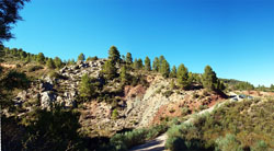 Barranco de la Escarabechuela. Enguidanos. Cuenca