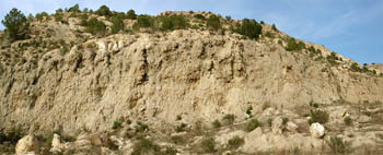 Yesos del Mesiniense. Benejuzar. Alicante