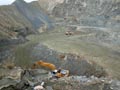 Explotación de Ofitas Los Serranos y sierra de Albatera. Alicante