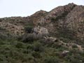 Explotación de Ofitas Los Serranos y sierra de Albatera. Alicante