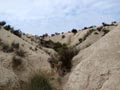 Ulea y porfidos mediterraneos en Abaran. Murcia