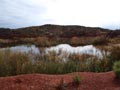 Ulea y porfidos mediterraneos en Abaran. Murcia