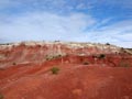 Ulea y porfidos mediterraneos en Abaran. Murcia