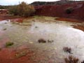 Ulea y porfidos mediterraneos en Abaran. Murcia