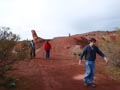 Ulea y porfidos mediterraneos en Abaran. Murcia