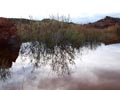 Ulea y porfidos mediterraneos en Abaran. Murcia