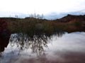 Ulea y porfidos mediterraneos en Abaran. Murcia