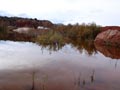 Ulea y porfidos mediterraneos en Abaran. Murcia