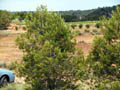 Casas de Ves. Albacete