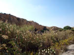 Lagunas de Rabasa.  Alicante