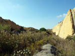 Lagunas de Rabasa.  Alicante