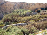 Lagunas de Rabasa.  Alicante