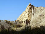 Lagunas de Rabasa.  Alicante