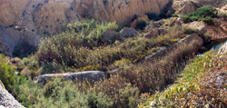 Lagunas de Rabasa.  Alicante