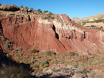 Grupo Mineralógico de Alicante. Barranco de los Ojos. Aspe. Alicante