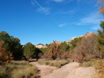 Grupo Mineralógico de Alicante. Barranco de los Ojos. Aspe. Alicante