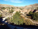 Grupo Mineralógico de Alicante. Barranco de los Ojos. Aspe. Alicante