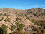 Grupo Mineralógico de Alicante. Barranco de los Ojos. Aspe. Alicante