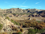 Grupo Mineralógico de Alicante. Barranco de los Ojos. Aspe. Alicante