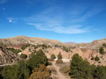 Grupo Mineralógico de Alicante. Barranco de los Ojos. Aspe. Alicante