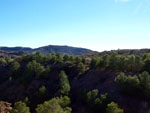 Grupo Mineralógico de Alicante. Barranco de los Ojos. Aspe. Alicante