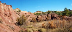 Grupo Mineralógico de Alicante. Barranco de los Ojos. Aspe. Alicante