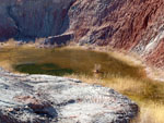 Grupo Mineralógico de Alicante. Explotaciones de Arcilla. La Alcoraia. Alicante