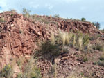 Grupo Mineralógico de Alicante.Antiguas explotaciones de Arcillas. Moralet. Alicante