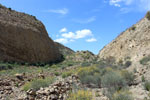 Grupo Mineralógico de Alicante.Cabezo Negro. Zeneta. Murcia Murcia