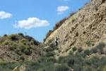 Grupo Mineralógico de Alicante.Cabezo Negro. Zeneta. Murcia Murcia