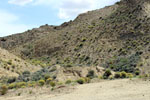 Grupo Mineralógico de Alicante.Cabezo Negro. Zeneta. Murcia Murcia